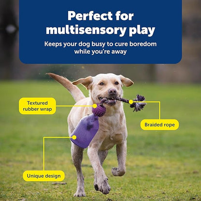 PetSafe Busy Buddy Tug-A-Jug - BPA-Free Refillable Treat Holder for Heavy Aggressive Chewers - Multi-Sensory Stimulation to Relieve Boredom, Encourage Play & Slow Down Eating - Medium/Large