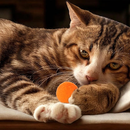 100 Pcs Cat Toy Balls 1'' Colorful Cat Pom Pom Balls 2 Style Soft Interactive Kitten Ball Cats Sparkle Fuzzy Ball Fuzzy Kitten Exercise Playing Quiet Toy for Exercise Entertainment