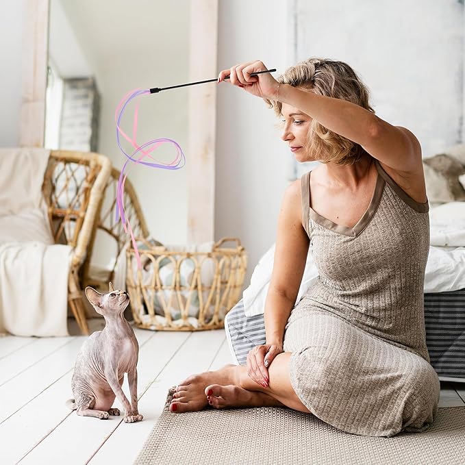 Cat Ribbon Wand Toys, 3pcs Interactive Cat Rainbow Wand String Toys for Indoor Cats Colorful Ribbon Charmer for Kittens Teaser Training Exerciser Playing Catcher Accessories