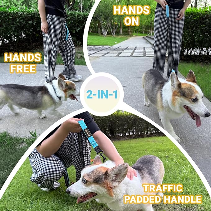 4-6 FT Hands-Free Dog Leash for Running & Walking - Adjustable Waist Belt (28-47"), Shock-Absorbing Bungee, 2 Reinforced Handles, Reflective & Anti-Pull for Small/Medium Dogs, Blue