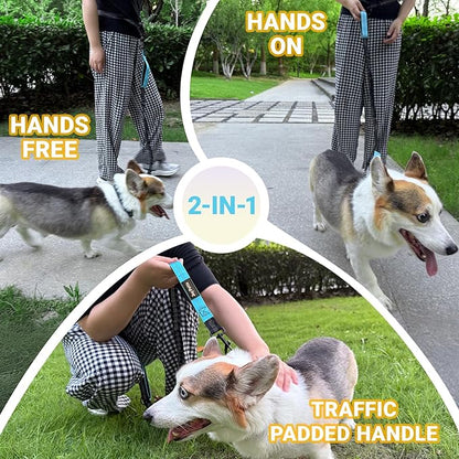 4-6 FT Hands-Free Dog Leash for Running & Walking - Adjustable Waist Belt (28-47"), Shock-Absorbing Bungee, 2 Reinforced Handles, Reflective & Anti-Pull for Small/Medium Dogs, Blue
