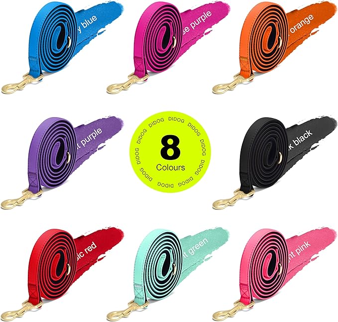 Didog 5FT Colorful Nylon Dog Leash with Soft Full-Length Padding, Lightweight and Durable Pet Leash for Small Dogs, Blue, S