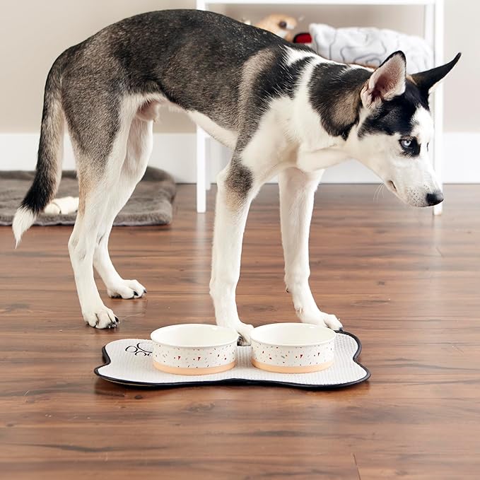 Bone Dry Ceramic Food Bowls, Non-Slip & Dishwasher Safe, Medium Set, 6x2 Terrazzo