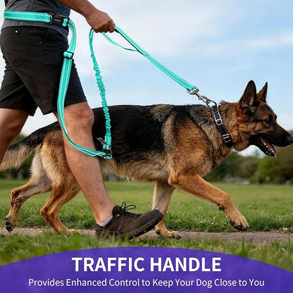 Kazazoo Hands-Free Dog Leash with 6-9FT Adjustable Length - Heavy Duty No Pull Bungee Design, Reflective Safety for Walking, Jogging & Training | Suitable for Medium to Large Dogs Green L