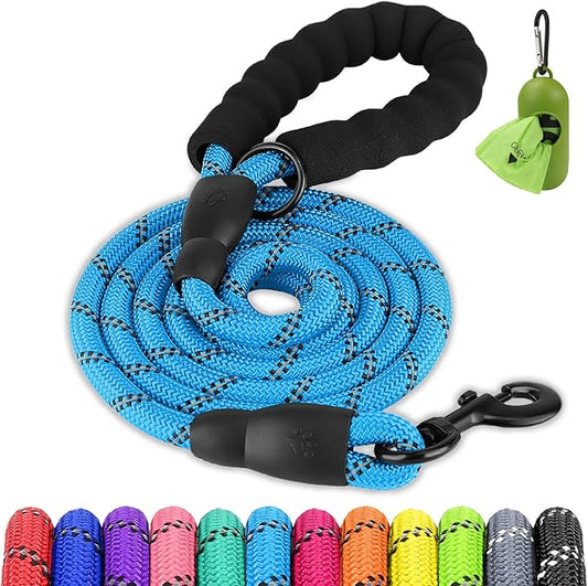 Joytale Dog Leash for Large Dogs, Heavy Duty Nylon Leashes with Comfortable Padded Handle and Highly Reflective Threads, Ideal for Walking and Training, SkyBlue, 5'×1/2''