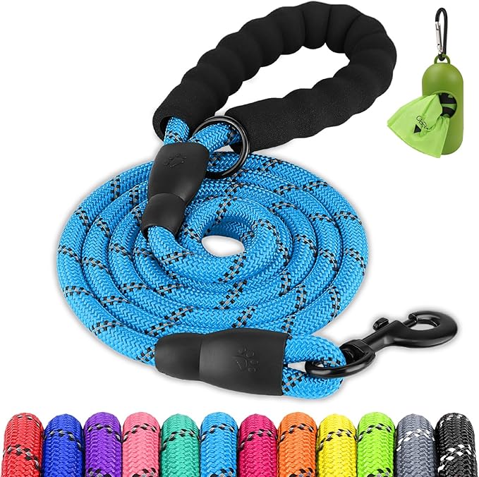 Joytale Dog Leash for Small Dogs, Heavy Duty Nylon Leashes with Comfortable Padded Handle and Highly Reflective Threads, Ideal for Walking and Training, SkyBlue, 6'×3/8''