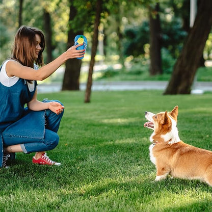 Andiker Dog Squeaky Toy, Plush Dog Chew Toys with a Squeaker, Slipper Shaped Interactive Dogs Toys for Small Medium Dogs Playing Chewing Teething Training (Blue)