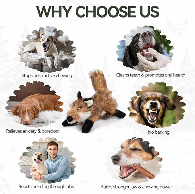 ALL FOR PAWS Squeaky Doy Toy, Fox Dog Toy for Small Medium Large Breed, Puppy Fetch Toy with Squeaker, Plush Chew Dog Toy, 10.2 x 7.9 x 4.7 inches - Classic S