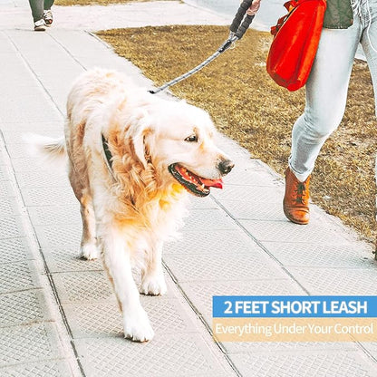 BAAPET 2/4/5/6 FT Dog Leash with Comfortable Padded Handle and Highly Reflective Threads for Small Medium and Large Dogs (2FT-1/2'', Silver)