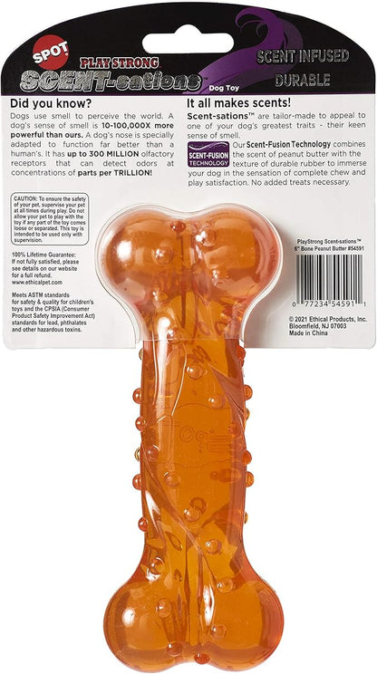 SPOT Play Strong Scent-sations Bone- Scent-Infused, Strong, Durable TPR Rubber, Heavy Duty Dog Toys for Aggressive Chewers up to 45lbs, Great for Puppies & Medium Breeds, 6in, Peanut Butter Flavored