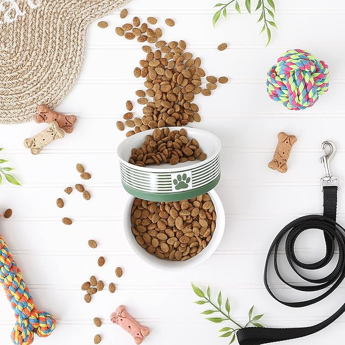 Bone Dry Paw & Patch Ceramic Pet Collection, Medium Set, 6x2, Hunter Green, 2 Piece (5742)