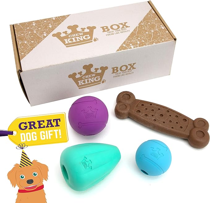Chew King by Mammoth Dog Box Large- Durable Fetch Balls, Treater and Chewing Toy Collection, Teal (CM-10100-CS01)