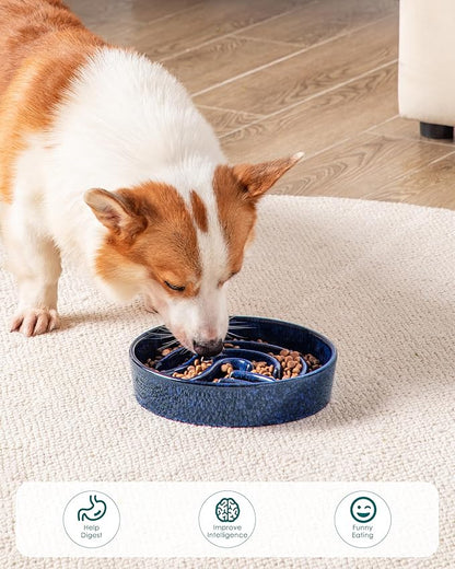 vancasso Slow Feeder Dog Bowl, 1.5 Cup Ceramic Slow Feeding Food Dish for Small and Medium Breed, Puzzle Dog Food Bowl for Fast Eater, Blue