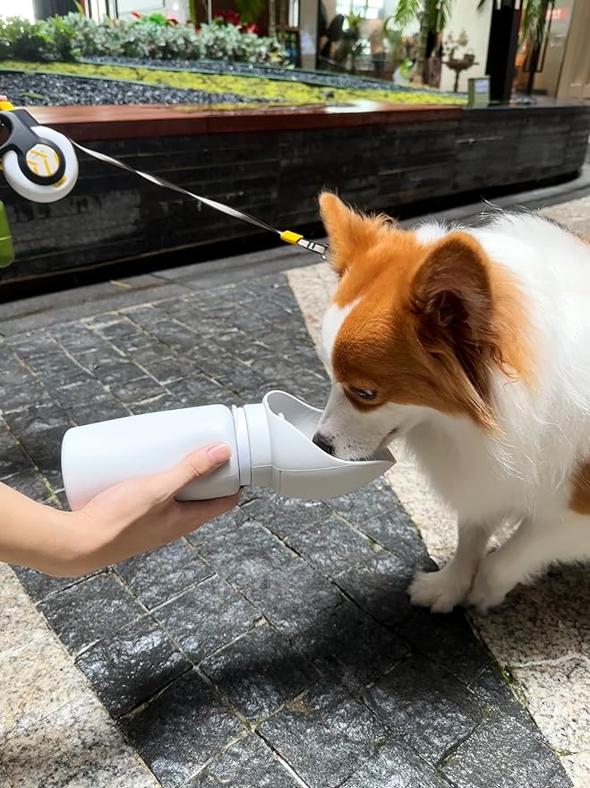 Dog Water Bottle,Portable Silicone Dog Water Cup, Collapsible, Leak-Proof, Walking Pet Drinking Bowl 550ML