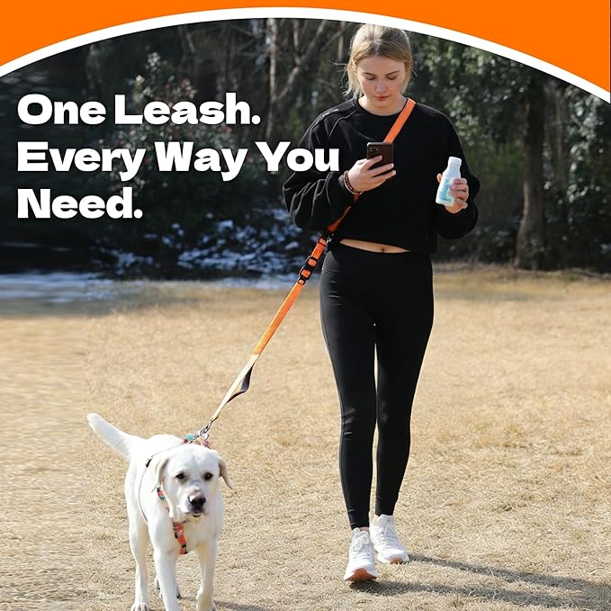 6-in-1 Hands-Free Dog Leash, Waist & Crossbody Bungee Lead with Dual Padded Handles, Bungee Shock Absorbing, Seat Belt Buckle, Reflective for Small Medium Large Dogs, Orange
