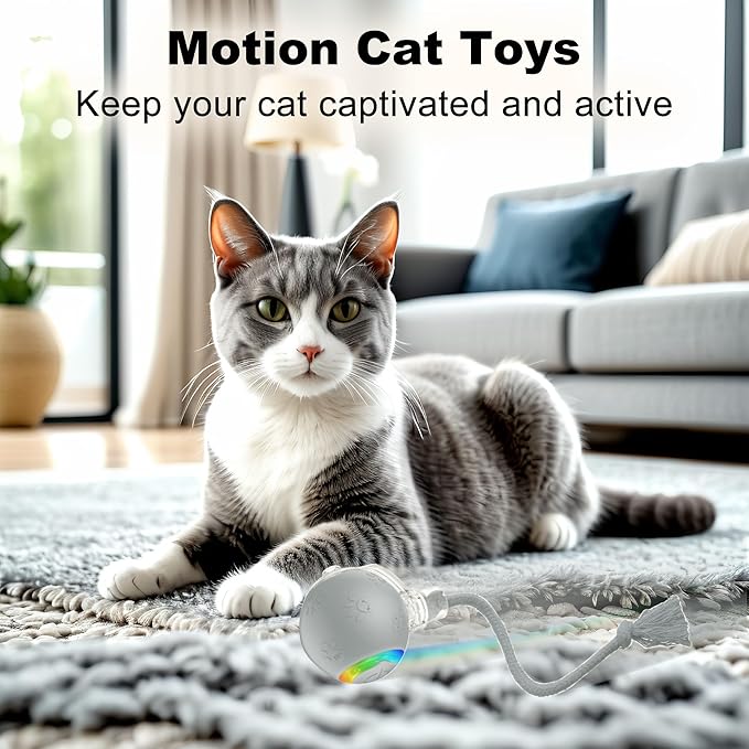 Quibron Interactive Cat Ball Toy with Flashing Lights & Bird Sounds - Multi-Surface Adaptive Roller, USB Rechargeable Motion-Activated Cat Teaser for Indoor Cats, Smart Enrichment Gift (Grey)