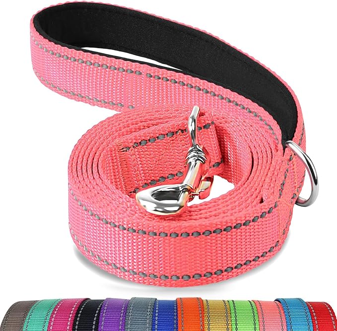 Joytale Dog Leash, 5 FT Double-Sided Reflective, Padded Handle Nylon Heavy Duty Leashes for Medium & Large Dogs Walking, Neon Pink