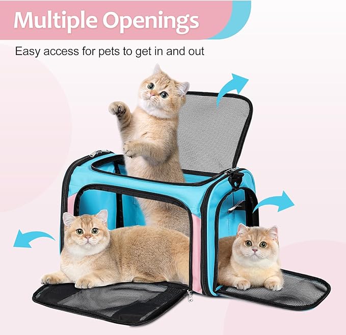 Discala Cat Dog Carrier Up to 15 Lbs TSA Airline Approved Pet Carrier for Small Medium Cats Puppies Dog Carriers for Small Dogs Collapsible Soft Sided Cat Travel Carrier - Blue&Pink 17"x11"x11"