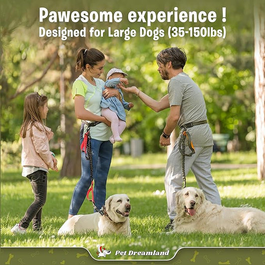 Pet Dreamland Exquisite Hands Free Leash for Large Dogs. Ultimate Comfort & Freedom for Running, Walking and Hiking. Premium Quality, Durable & Versatile Dog Walking Belt. Your Dog Will Love It.