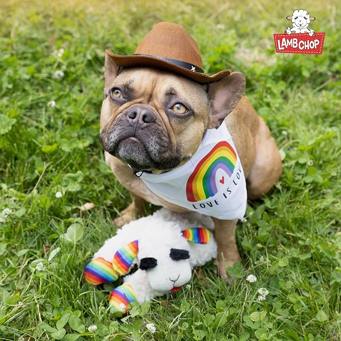 Multipet Lamb Chop Dog Plush Toy w/Birthday Hat - Squeaky Toy for All Dogs - Extra Soft Plush - Stuffed Animal for Cuddling & Playing (10.5", Blue Hat, 5 Squeakers)