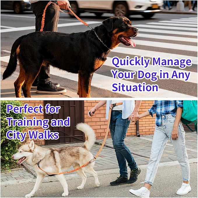 Kazazoo Hands-Free Dog Leash with 6-9FT Adjustable Length - Heavy Duty No Pull Bungee Design, Reflective Safety for Walking, Jogging & Training | Suitable for Medium to Large Dogs Orange L