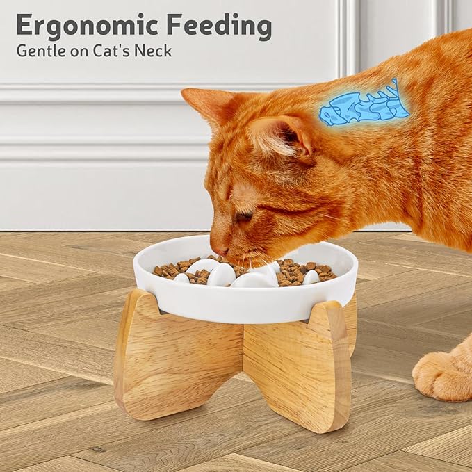 Raised Slow Feeder Cat Bowl with Stand, 6.3'' Wide Ceramic Elevated Shallow Slow Eating Cat Bowl for Dry/Wet Food, Anti-Vomiting Pet Puzzle Feeder, Whisker Friendly, Dishwasher Safe (White)