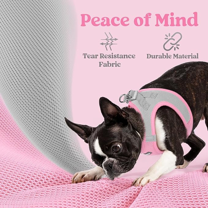 rabbitgoo Small Dog Harness, Step-in Soft Mesh Puppy Vest with Safety Buckle, Breathable Reflective Pet Harness for Small Sized Dogs, Pink & Gray S
