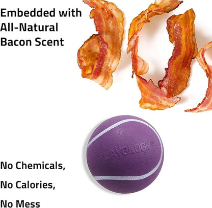 Playology Dog Toys | Squeaky Chew Ball - Bouncy Durable Floating Fetch Ball for Dogs | Jumbo Bacon Scented Toy - Easy to Clean and Made from Non Toxic Materials