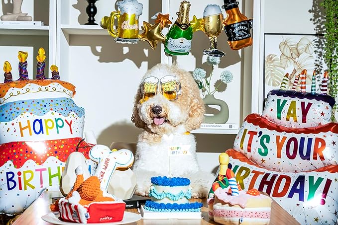 PAWTY Birthday Bone Dog Toy - Funny Interactive Tug Rope Squeaky Dog Birthday Gift - Plush Pink Bone Toy for Small Medium Dogs - Dog Birthday Party Supplies