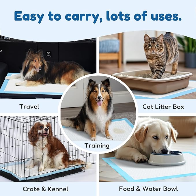 FluffyDream Super Absorbent Waterproof Dog and Puppy Pet Training Pad, Housebreaking Pet Pad,Blue (13"x17.7"(100PCS))