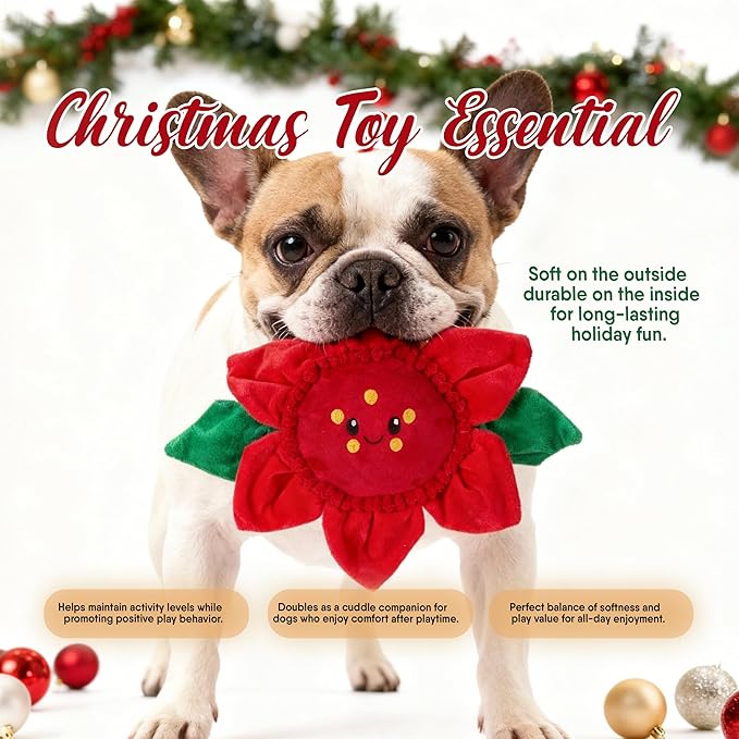Bow Wow Pet Holiday Poinsettia Squeaky Plush Dog Toy