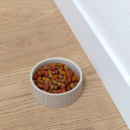Fringe Studio Sevilla Tile Sand Small Ceramic Imprinted Pet Bowl (5" Diameter x 1.75" H, 12 fl.oz.), PetShop Collection (785SM001)