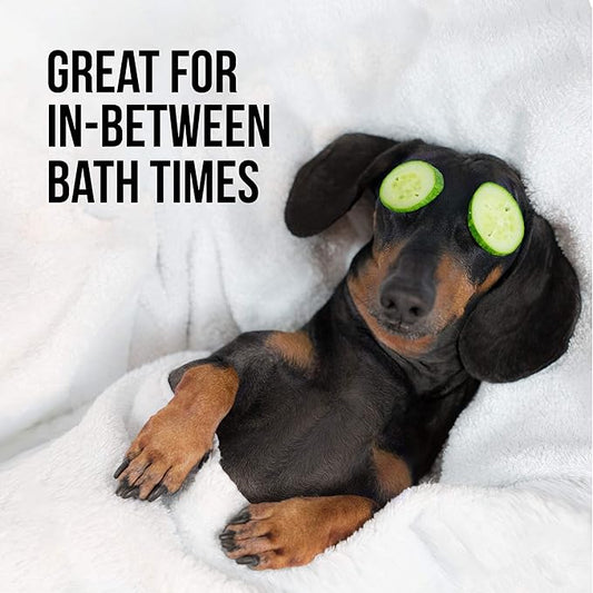 Natural Rapport Dog Deodorant Spray, The Only Between Bath Spray Dogs Need, Natural Cat and Dog Cologne Spray Eliminates Smelly Odours Between Baths (Male)