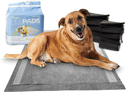 Alpha Paw - Odor Eliminating Pee Pads for Dogs, Extra Thick Disposable Leak-Proof Dog Pads, Quick-Dry, Non-Slip Backing, with Pheromones to Attract Your Dog