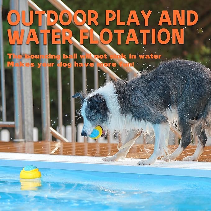 LaRoo Indestructible Squeaky Dog Ball, 3" TPR Rubber Chew Toy for Small/Medium Dogs, Floatable Teeth Cleaning Toy with Textured Grip, BPA-Free Non-Toxic for Indoor/Outdoor Fetch & Water Play (Blue)
