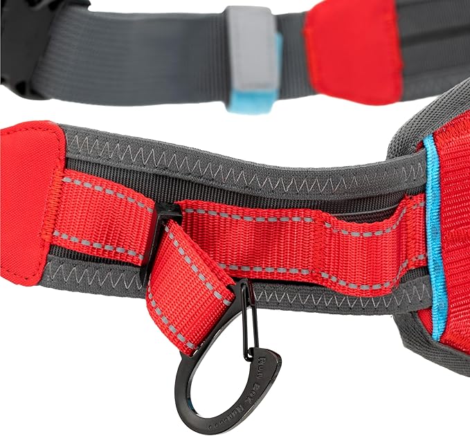 Kurgo On Trail Running Belt - Hands Free Running Belt for Dogs - Adjustable Dog Running Belt - Reflective Jogging Gear - Quick Access Pouch - BPA Free Water Bottle - Red/Blue/Gray