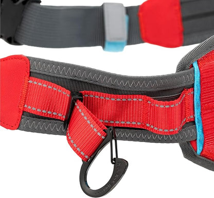 Kurgo On Trail Running Belt - Hands Free Running Belt for Dogs - Adjustable Dog Running Belt - Reflective Jogging Gear - Quick Access Pouch - BPA Free Water Bottle - Red/Blue/Gray