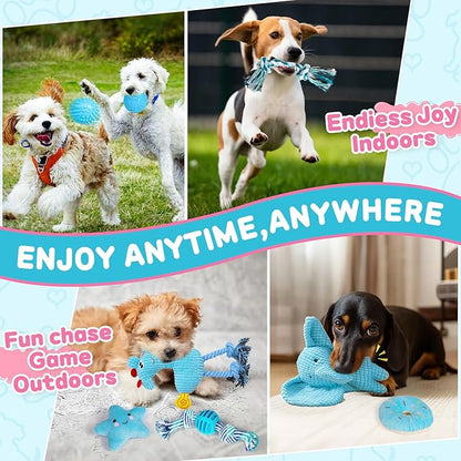 8 Pack Luxury Puppy Toys for Teething Small Dogs, Puppy Chew Toys with Squeaky Dog Toys, Balls and Rope Dog Chew Toys, Dog Toys to Keep Them Busy (Blue, 8-Pack)