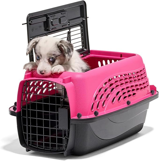 Petmate Dog Crates for Small Dogs & Cat Carriers, Two-Door Plastic Pet Kennel, Top & Front Loading, XS 19" For Dogs Up To 10 lb, Pink