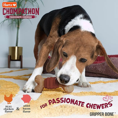 Hartz Chompathon Gripper Bone Dog Chew Toy for Aggressive Chewers, Double Layered Flavored with Chicken & Bacon