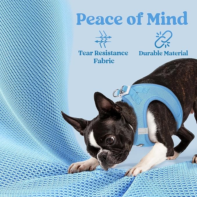 rabbitgoo Small Dog Harness, Step-in Soft Mesh Puppy Vest with Safety Buckle, Breathable Reflective Pet Harness for Small Medium Dogs, Blue XL