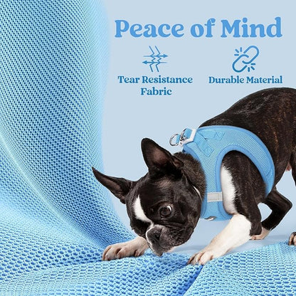 rabbitgoo Small Dog Harness, Step-in Soft Mesh Puppy Vest with Safety Buckle, Breathable Reflective Pet Harness for Small Medium Dogs, Blue XL