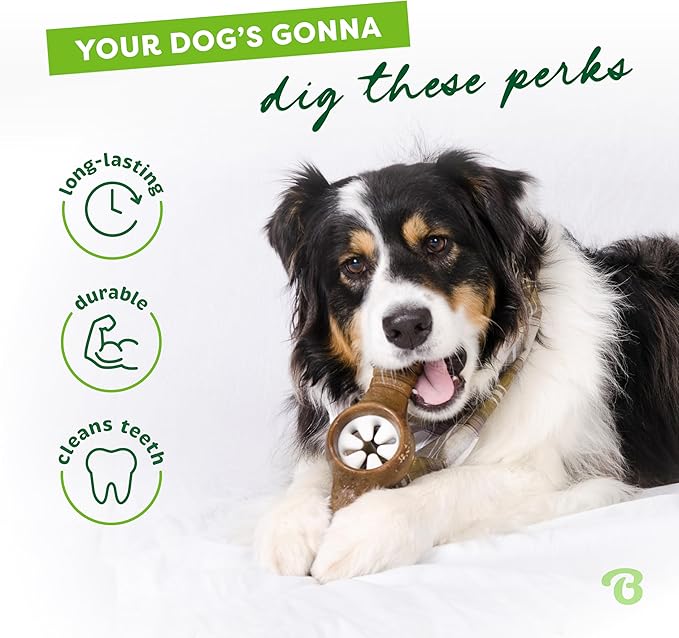 Benebone Pawplexer Interactive Treat Dispensing Tough Dog Puzzle Chew Toy, Made in USA, Small, Real Bacon Flavor