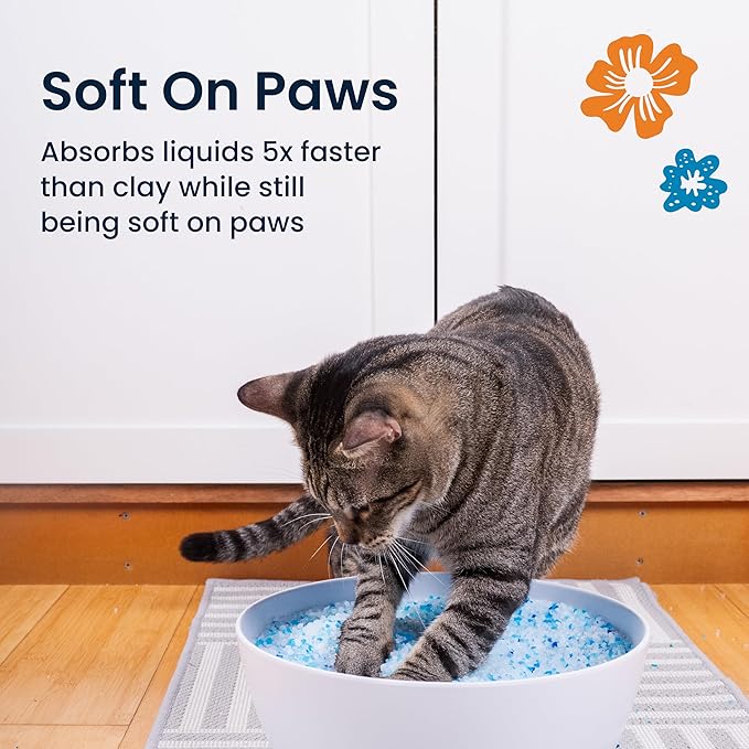 Crystal Clean Premium Fresh Scent Crystal Cat Litter with Odor Control (5X Faster), Best Lightweight, Non Clumping Kitty Litter to Absorb Urine, Dries Solid Waste (2X4.3 Lb Bags)
