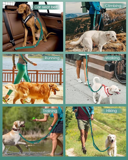 Hands Free Dog Leash, 2-in-1 Detachable Pet Seatbelt,5.9-9.2 ft Crossbody Dog Leash with Double-Sided Reflective for Walking, Hiking, Travel etc.(Orange)