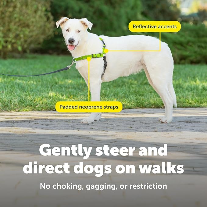 PetSafe Deluxe Easy Walk Harness - Trainer-Trusted Dog Chest Harness with Breathable Martingale Loop Design - Helps Stop Pulling with No Choking & Gagging - Medium/Large - Apple