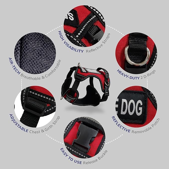 ActiveDogs No Pull Harness - Adjustable Service Dog Harness for Small Dogs with Control Handle, ID Window, D-Rings & Reflective Padding - Red, 19"-25"