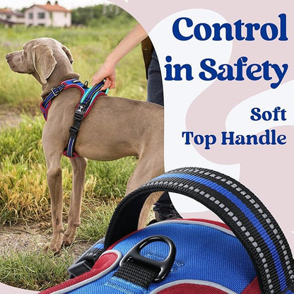 rabbitgoo Dog Harness for Large, No Pull Pet Harness with 3 Buckles, Adjustable Soft Padded Vest with Control Handle, Walking Reflective Pet Vest for Large Dogs, Royal Blue & Red, L