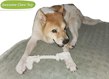 2-Pack Dog Rope Toys for Small & Medium Dogs – Durable 10" Cotton Chew Tug Toys with 2 Knots for Puppy Teething, Dental Cleaning, Boredom Relief, Indoor & Outdoor Play, White