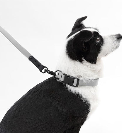 WLK1006N-5SET Luna Large 8FT Adjustable 6-in-1 Waterproof Hands-Free Leash and Collar with LED Flashlight, Bag Dispenser, and Poop Bag Holder, Martini